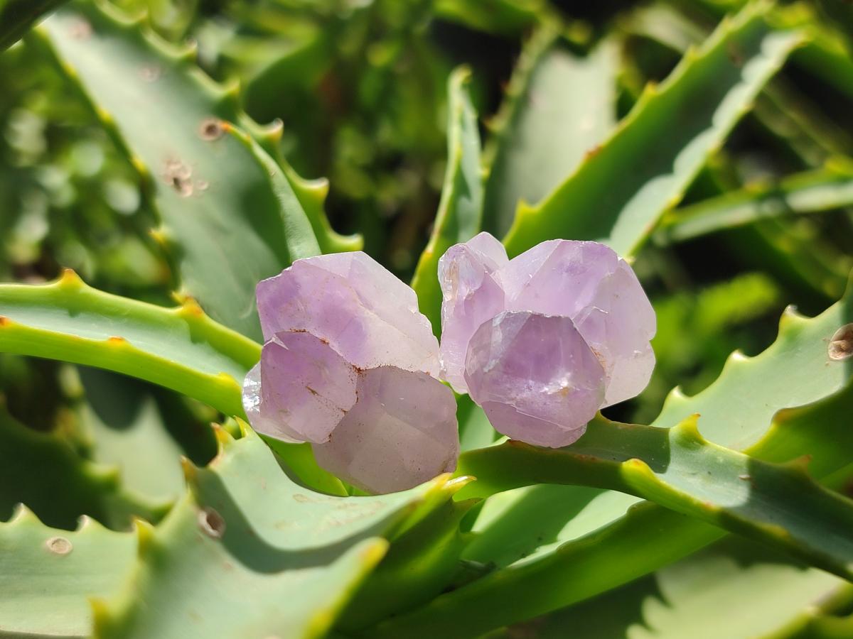 Natural Lilac Amethyst Crystals x 2.99 kg Lot From Madagascar
