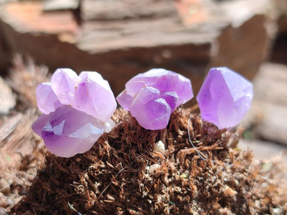 Natural Lilac Amethyst Crystals x 2.99 kg Lot From Madagascar