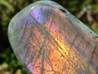 Polished Rare Purple Sunset Flash Labradorite Standing Free Forms x 6 From Madagascar