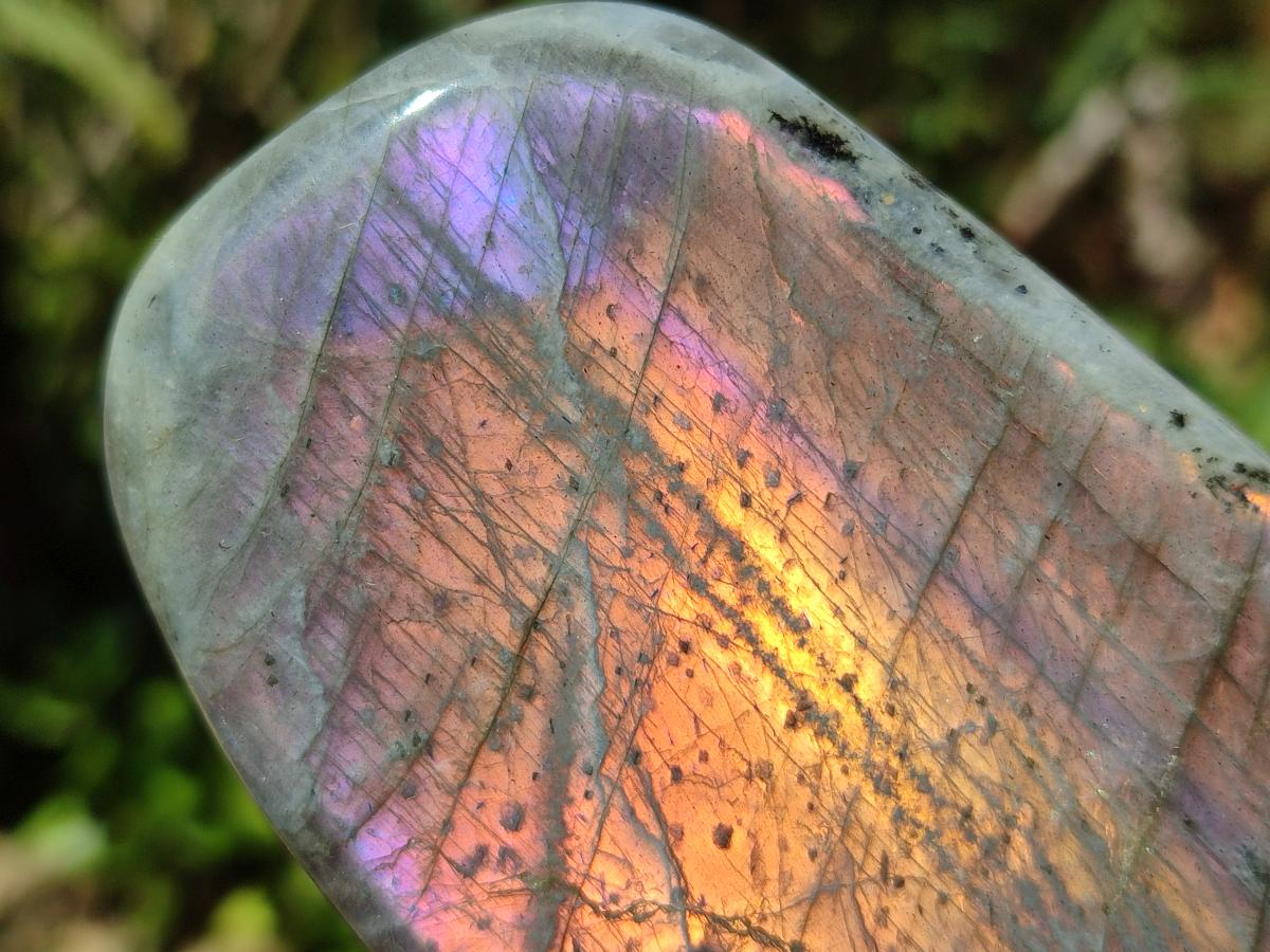 Polished Rare Purple Sunset Flash Labradorite Standing Free Forms x 6 From Madagascar