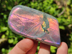 Polished Rare Purple Sunset Flash Labradorite Standing Free Forms x 6 From Madagascar