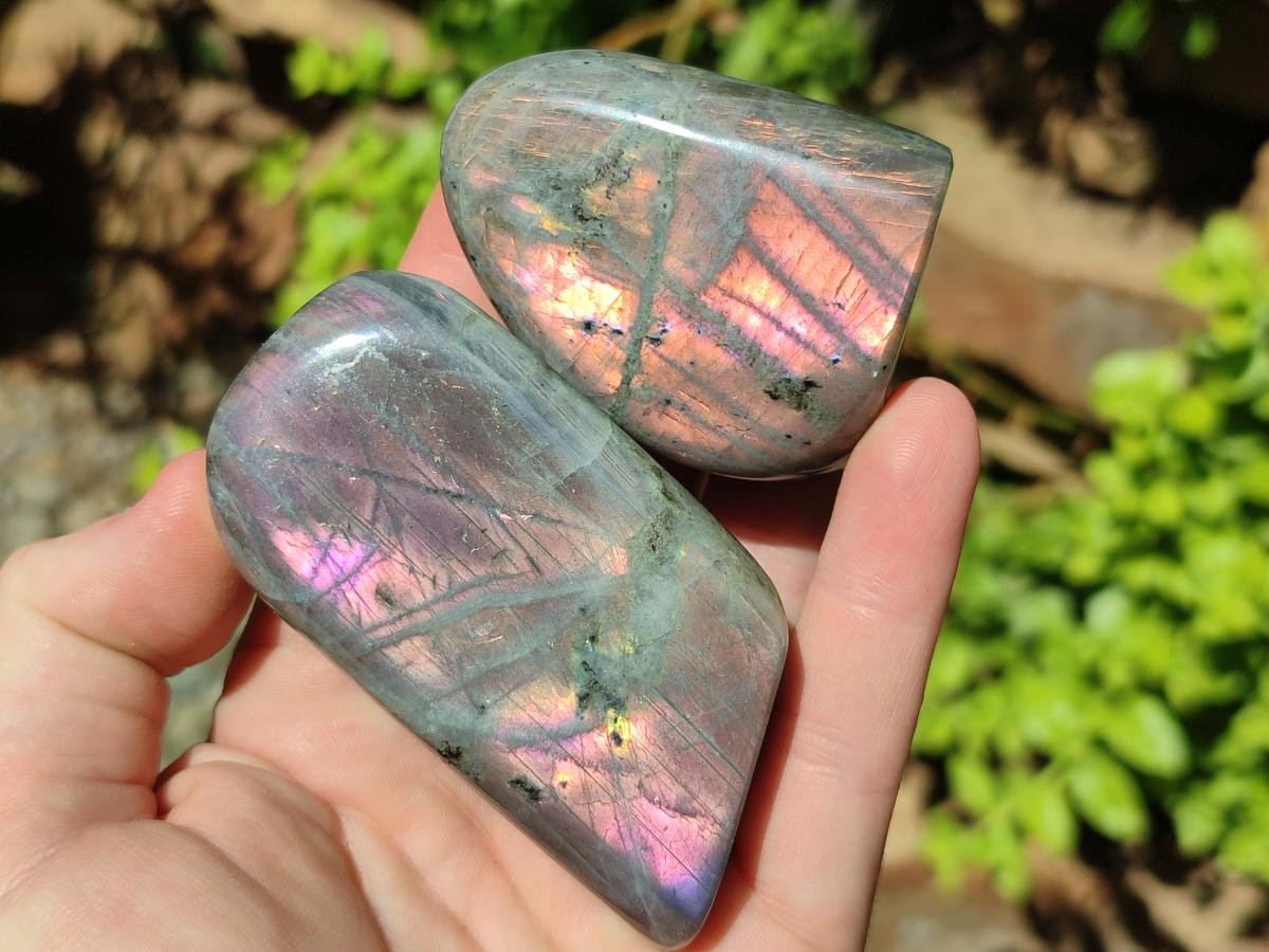 Polished Rare Purple Sunset Flash Labradorite Standing Free Forms x 6 From Madagascar