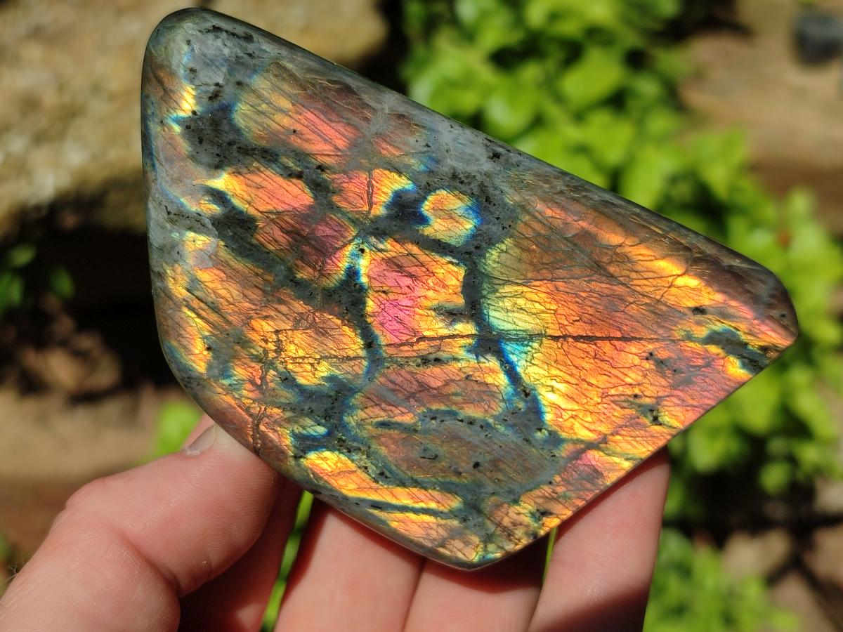 Polished Rare Purple Sunset Flash Labradorite Standing Free Forms x 6 From Madagascar