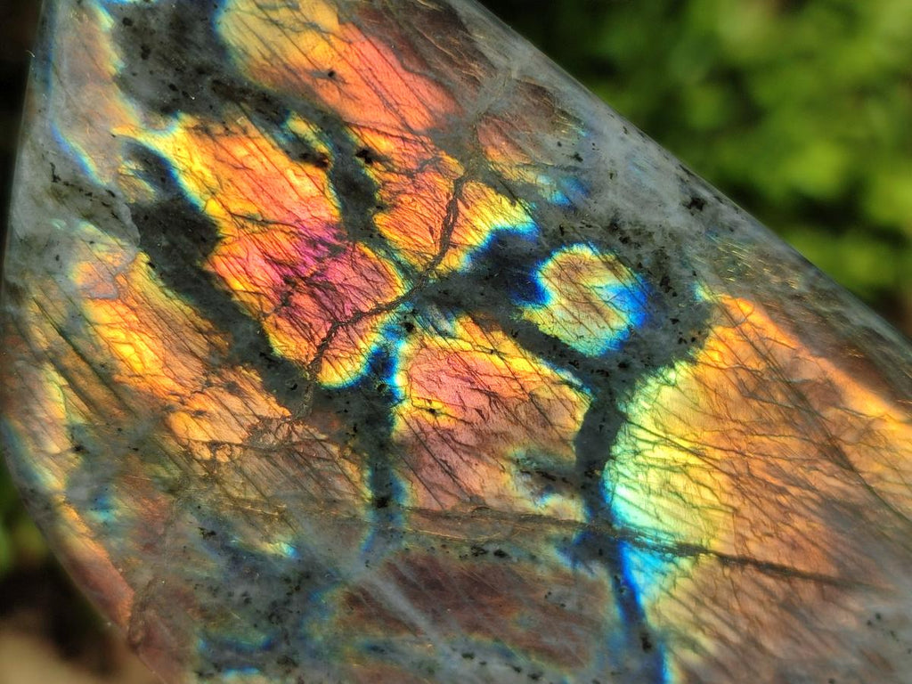 Polished Rare Purple Sunset Flash Labradorite Standing Free Forms x 6 From Madagascar