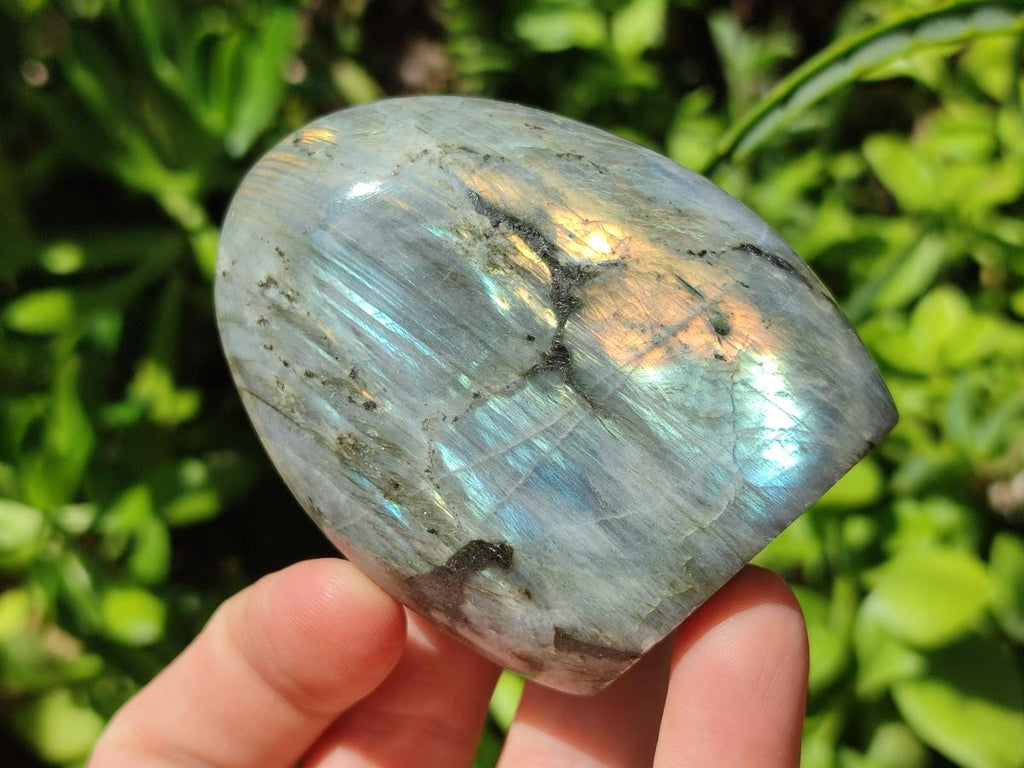 Polished Rare Purple Sunset Flash Labradorite Standing Free Forms x 6 From Madagascar