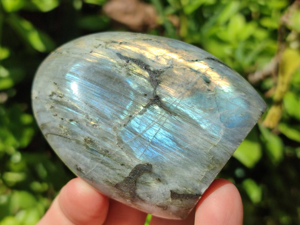 Polished Rare Purple Sunset Flash Labradorite Standing Free Forms x 6 From Madagascar