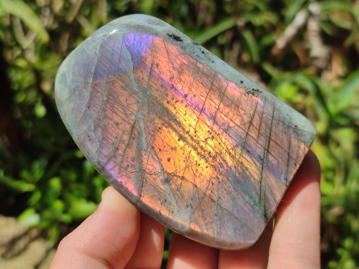 Polished Rare Purple Sunset Flash Labradorite Standing Free Forms x 6 From Madagascar
