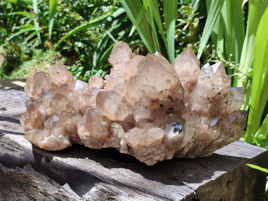 Natural XL Smokey Citrine Phantom Quartz Cluster x 1 From Luena, Congo