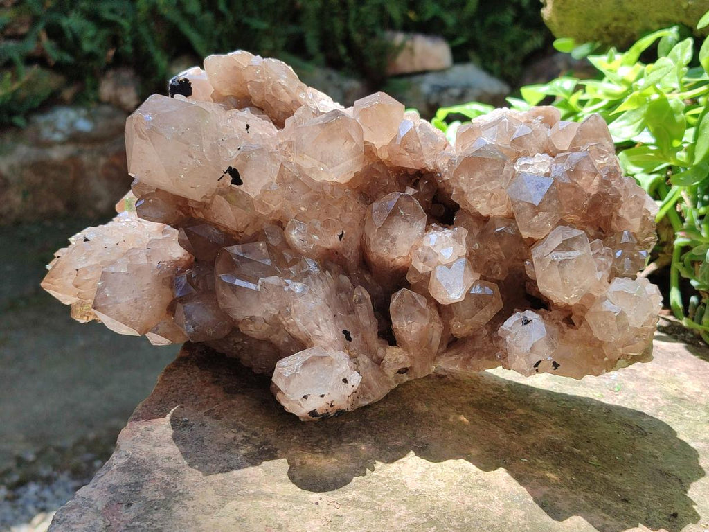 Natural XL Smokey Citrine Phantom Quartz Cluster x 1 From Luena, Congo