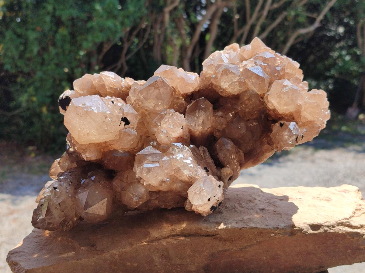 Natural XL Smokey Citrine Phantom Quartz Cluster x 1 From Luena, Congo