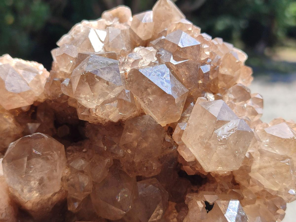 Natural XL Smokey Citrine Phantom Quartz Cluster x 1 From Luena, Congo