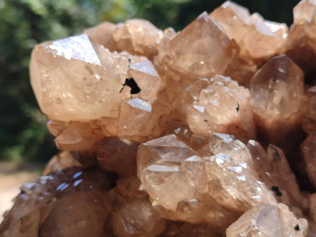 Natural XL Smokey Citrine Phantom Quartz Cluster x 1 From Luena, Congo