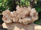 Natural XL Smokey Citrine Phantom Quartz Cluster x 1 From Luena, Congo