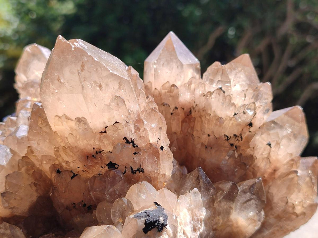 Natural XL Smokey Citrine Phantom Quartz Cluster x 1 From Luena, Congo