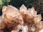 Natural XL Smokey Citrine Phantom Quartz Cluster x 1 From Luena, Congo
