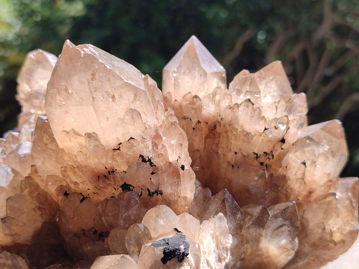 Natural XL Smokey Citrine Phantom Quartz Cluster x 1 From Luena, Congo