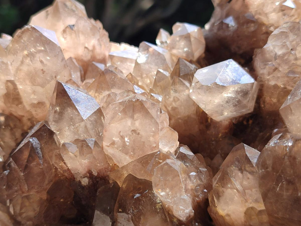 Natural XL Smokey Citrine Phantom Quartz Cluster x 1 From Luena, Congo