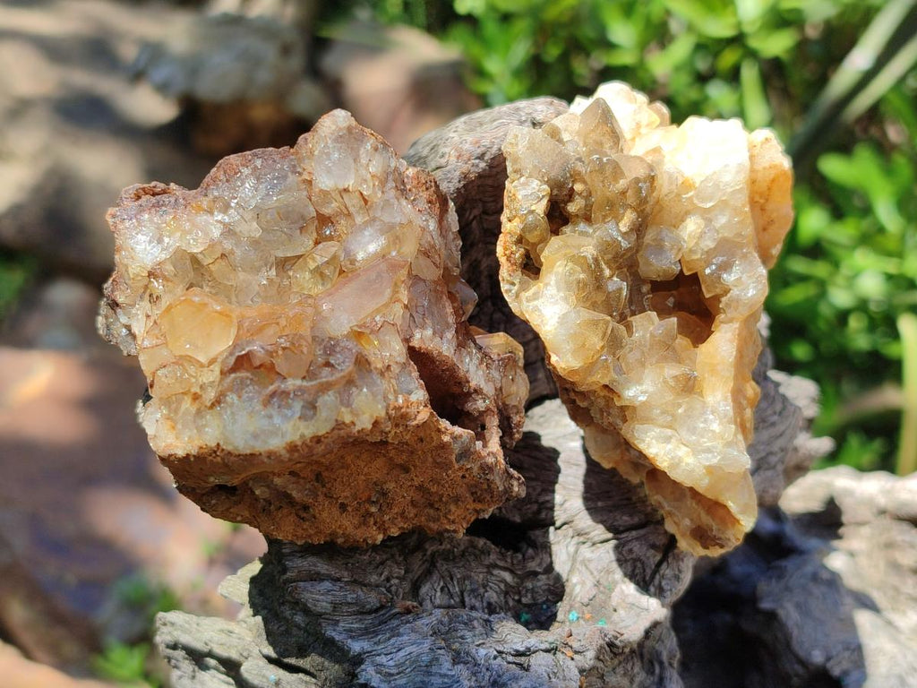 Natural Limonite Quartz Clusters x 12 From Solwezi, Zambia