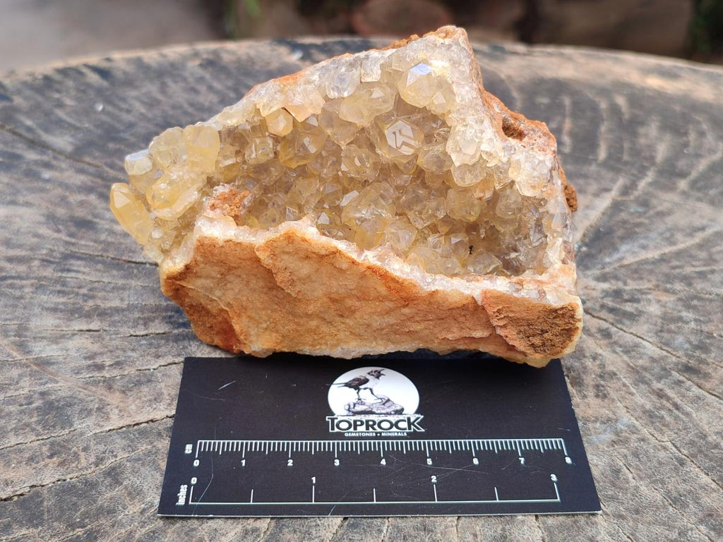 Natural Limonite Quartz Clusters x 12 From Solwezi, Zambia