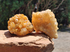 Natural Limonite Quartz Clusters x 12 From Solwezi, Zambia