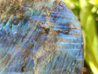 Polished Labradorite Standing Free Forms x 3 From Madagascar - Toprock Gemstones and Minerals 