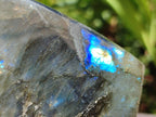 Polished Labradorite Standing Free Forms x 3 From Madagascar - Toprock Gemstones and Minerals 