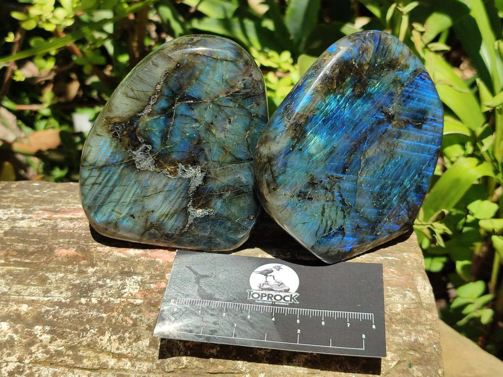 Polished Labradorite Standing Free Forms x 3 From Madagascar - Toprock Gemstones and Minerals 