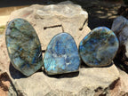Polished Labradorite Standing Free Forms x 3 From Madagascar - Toprock Gemstones and Minerals 