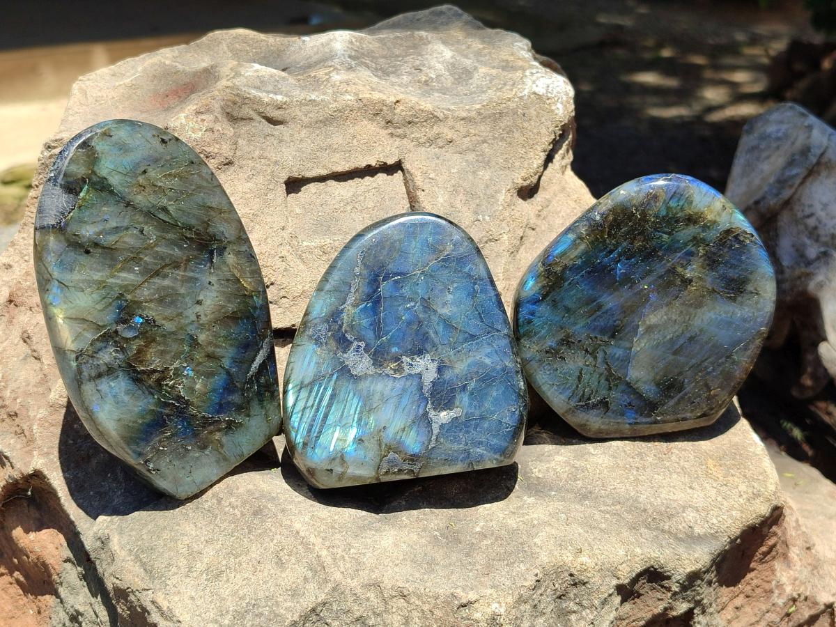 Polished Labradorite Standing Free Forms x 3 From Madagascar - Toprock Gemstones and Minerals 