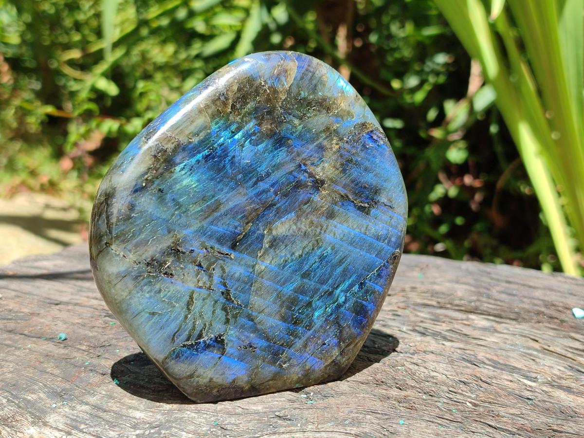 Polished Labradorite Standing Free Forms x 3 From Madagascar - Toprock Gemstones and Minerals 