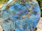 Polished Labradorite Standing Free Forms x 3 From Madagascar - Toprock Gemstones and Minerals 