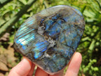 Polished Labradorite Standing Free Forms x 3 From Madagascar - Toprock Gemstones and Minerals 