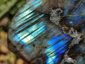Polished Labradorite Standing Free Forms x 3 From Madagascar - Toprock Gemstones and Minerals 