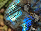 Polished Labradorite Standing Free Forms x 3 From Madagascar - Toprock Gemstones and Minerals 