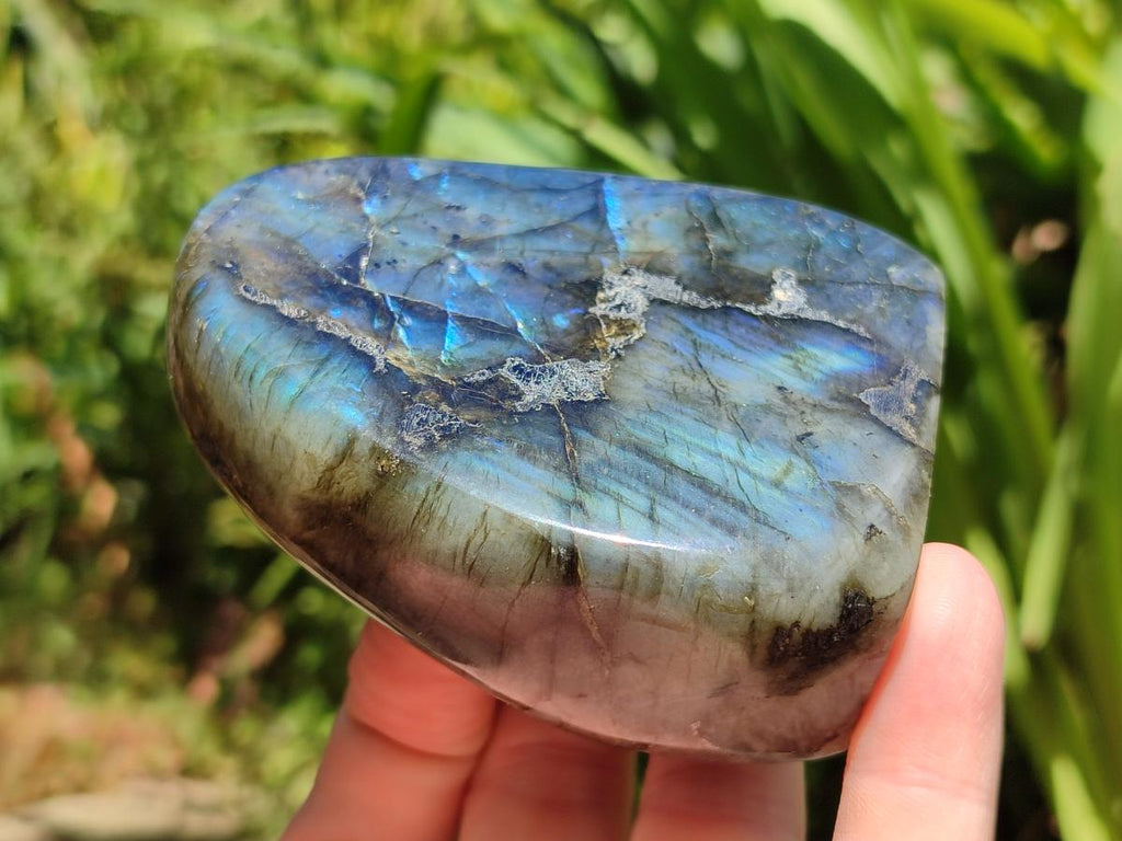 Polished Labradorite Standing Free Forms x 3 From Madagascar - Toprock Gemstones and Minerals 