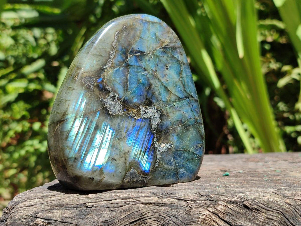 Polished Labradorite Standing Free Forms x 3 From Madagascar - Toprock Gemstones and Minerals 
