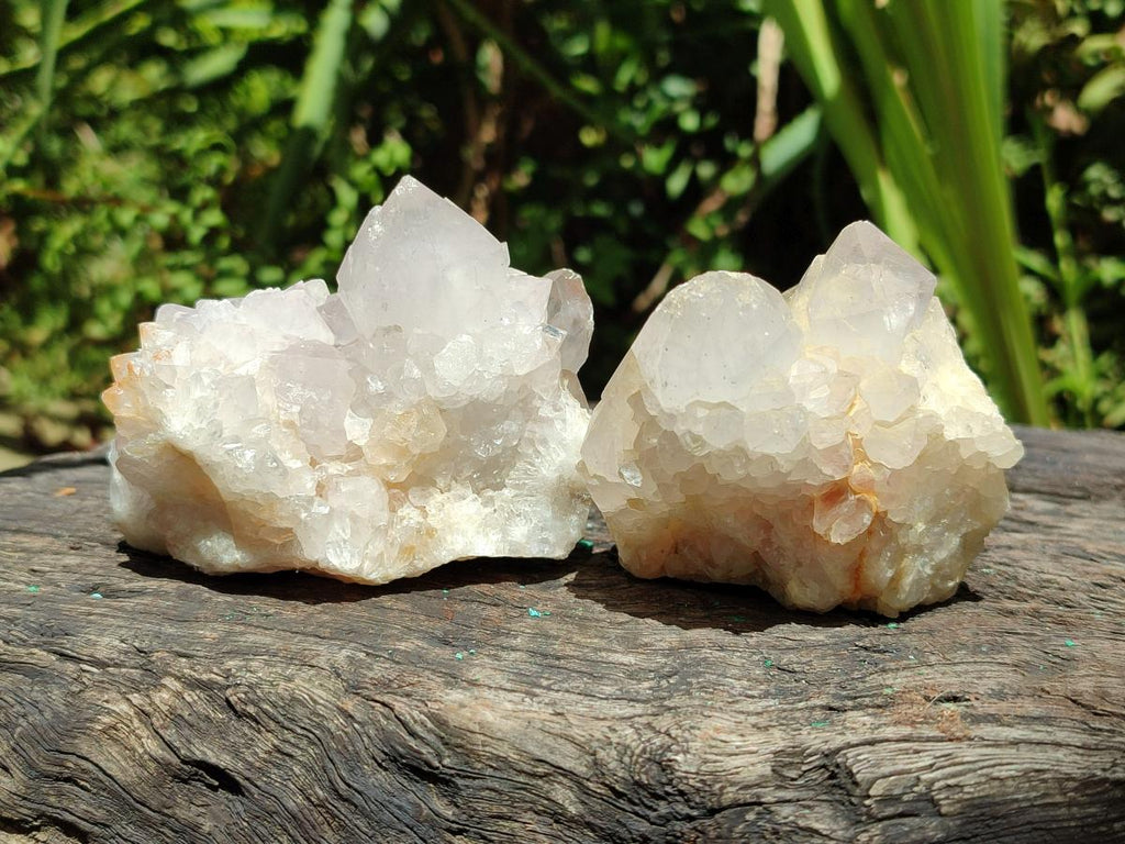 Natural White and Lilac Spirit Clusters x 6 From Boekenhouthoek, South Africa