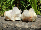 Natural White and Lilac Spirit Clusters x 6 From Boekenhouthoek, South Africa