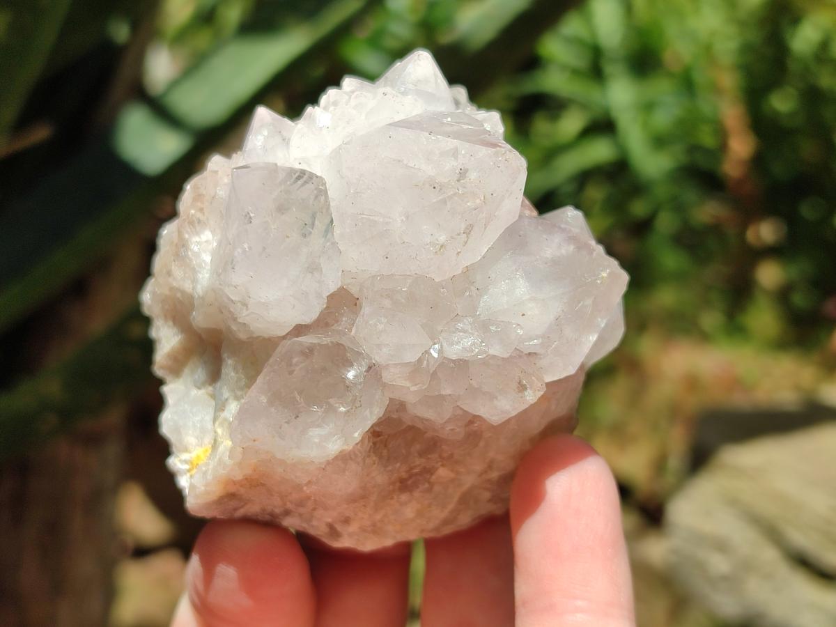 Natural White and Lilac Spirit Clusters x 6 From Boekenhouthoek, South Africa