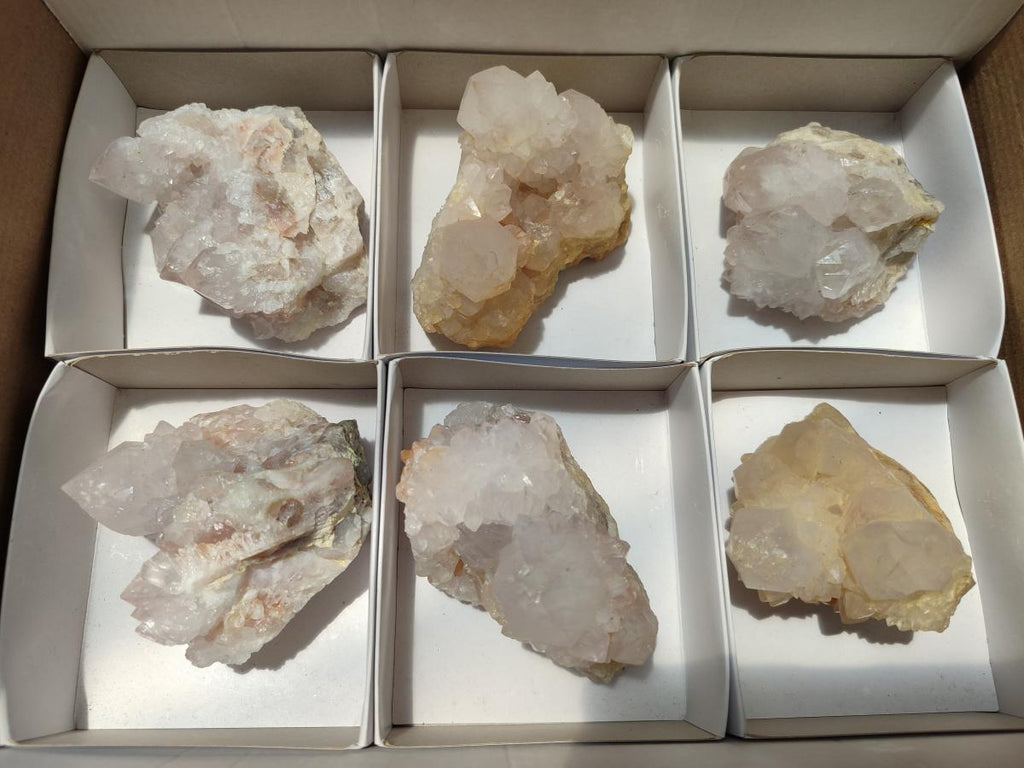 Natural White and Lilac Spirit Clusters x 6 From Boekenhouthoek, South Africa