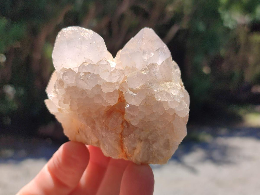 Natural White and Lilac Spirit Clusters x 6 From Boekenhouthoek, South Africa