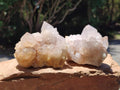 Natural White and Lilac Spirit Clusters x 6 From Boekenhouthoek, South Africa