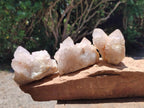 Natural White and Lilac Spirit Clusters x 6 From Boekenhouthoek, South Africa