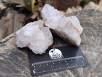 Natural White and Lilac Spirit Clusters x 6 From Boekenhouthoek, South Africa