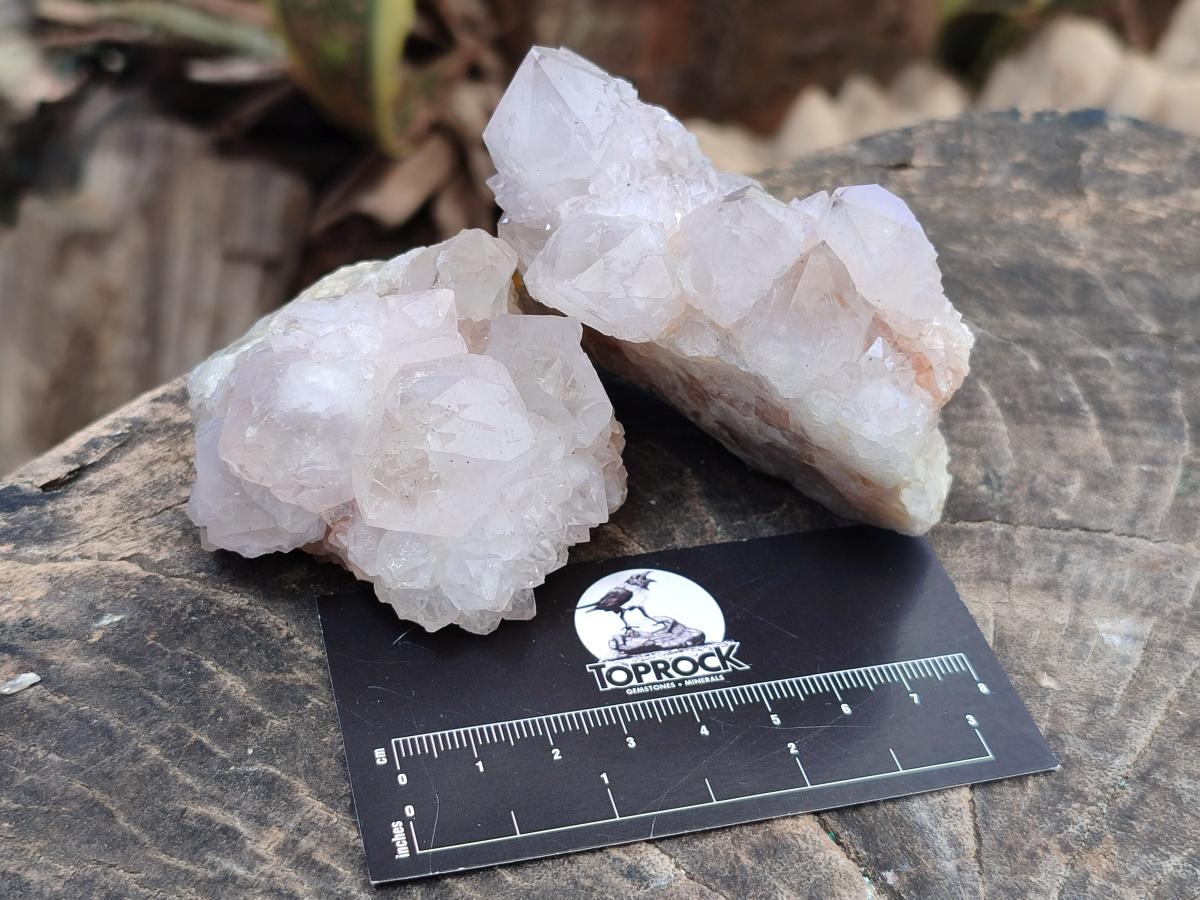 Natural White and Lilac Spirit Clusters x 6 From Boekenhouthoek, South Africa