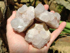 Natural White and Lilac Spirit Clusters x 6 From Boekenhouthoek, South Africa