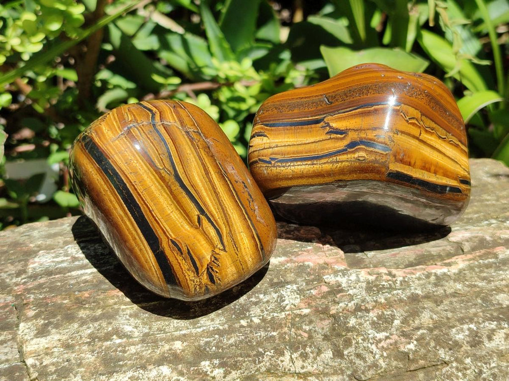 Polished Jumbo Golden Tigers Eye with Banded Iron Stone Free Forms x 3 From Prieska, South Africa - Toprock Gemstones and Minerals 