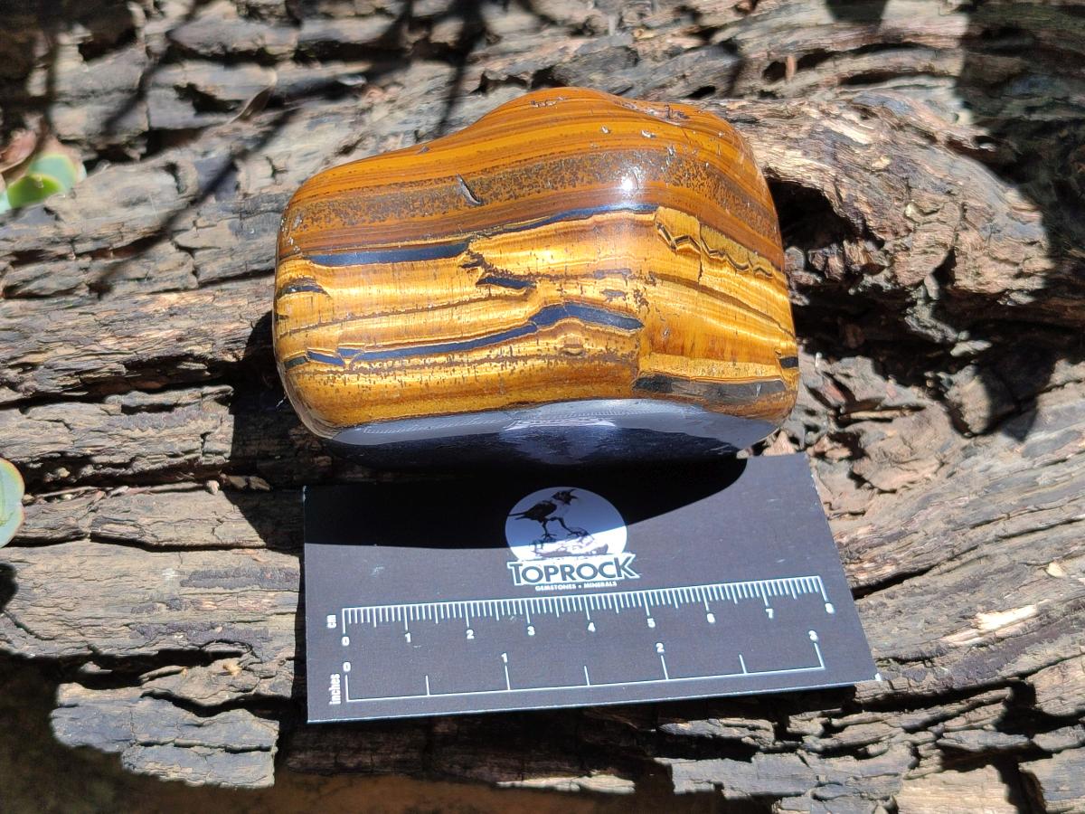 Polished Jumbo Golden Tigers Eye with Banded Iron Stone Free Forms x 3 From Prieska, South Africa - Toprock Gemstones and Minerals 