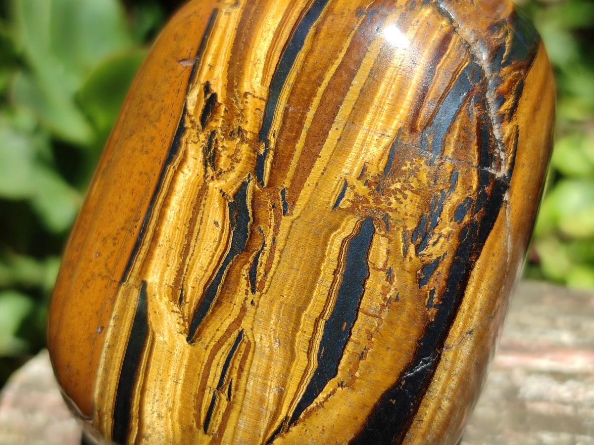 Polished Jumbo Golden Tigers Eye with Banded Iron Stone Free Forms x 3 From Prieska, South Africa - Toprock Gemstones and Minerals 