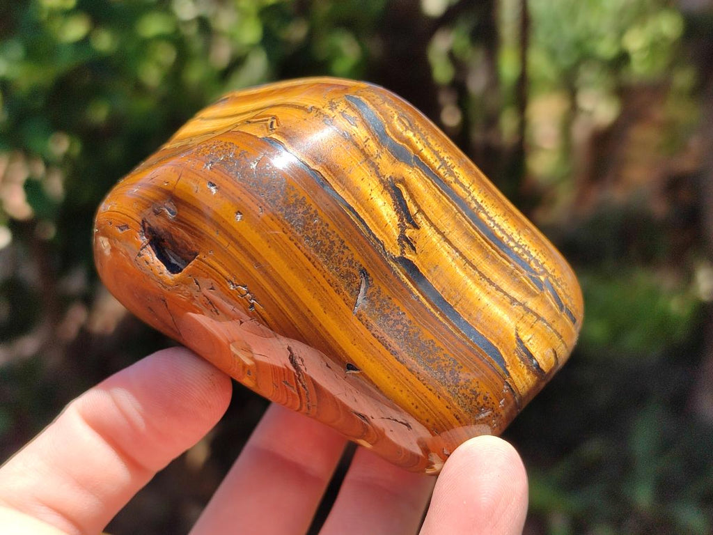 Polished Jumbo Golden Tigers Eye with Banded Iron Stone Free Forms x 3 From Prieska, South Africa - Toprock Gemstones and Minerals 